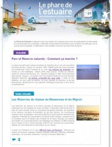 newsletter2