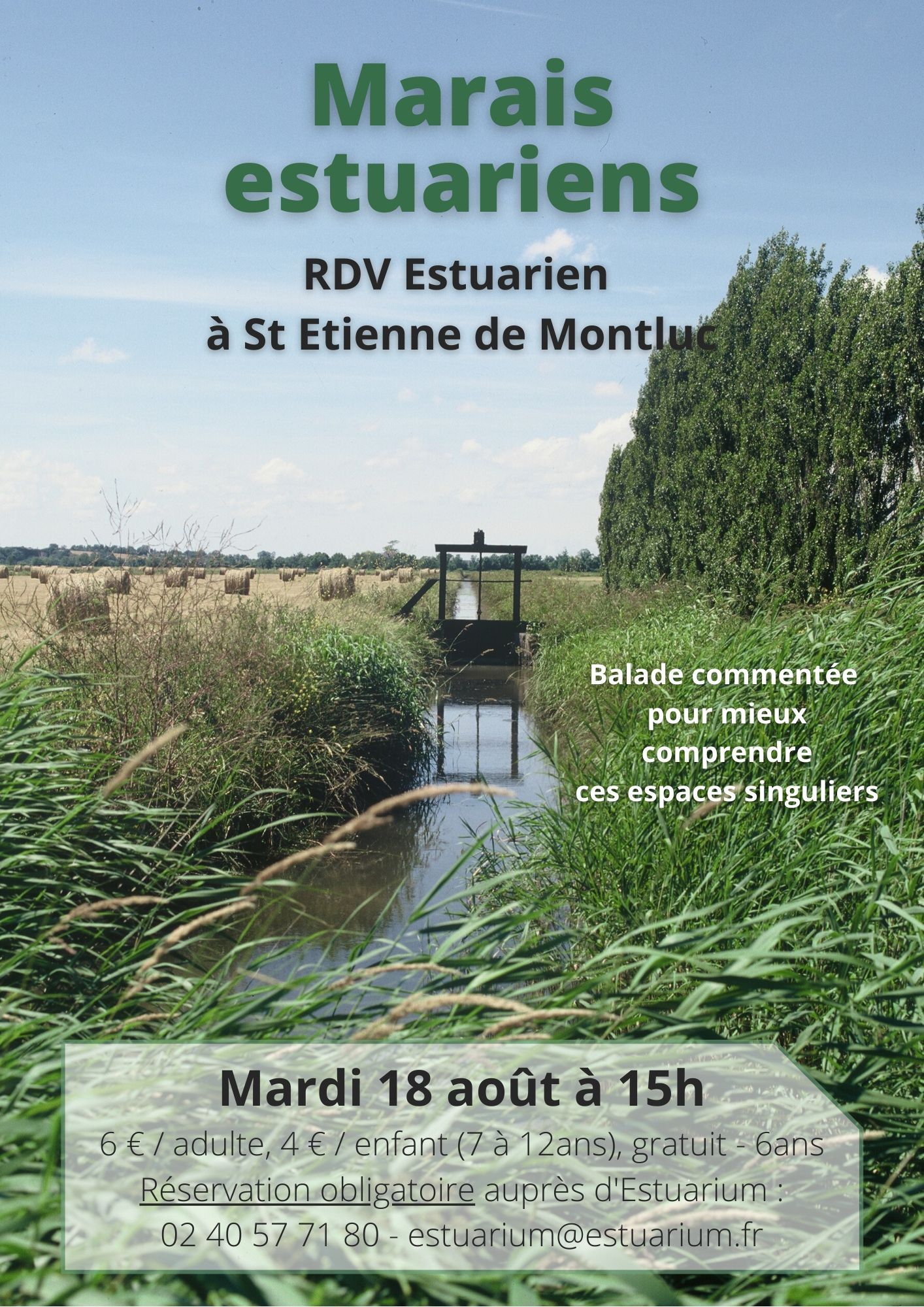 RDV Estuarien aout 2020 - Marais estuariens - ST ETIENNE