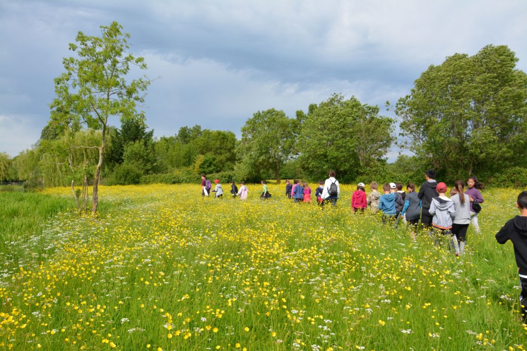 classe dans la nature avec une animatrice d'Estuarium